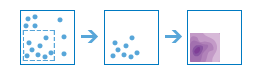 Calculate Density tool